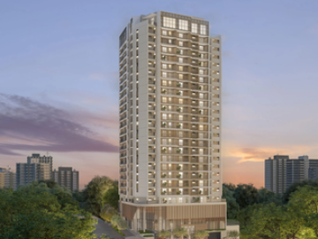 Francisco Cruz - Breve Lan�amento