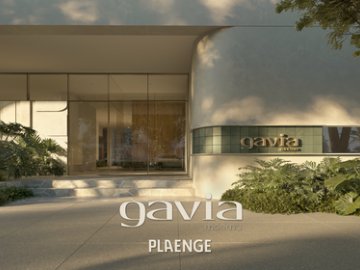 Breve lancamento gavia moema